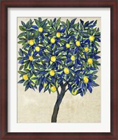 Framed Lemon Tree Composition II