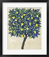 Framed Lemon Tree Composition II