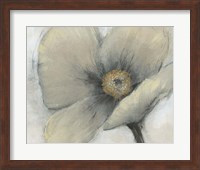 Framed Single Cream Bloom I