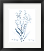 Framed Antique Botanical in Blue I