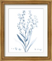 Framed 'Antique Botanical in Blue I' border=