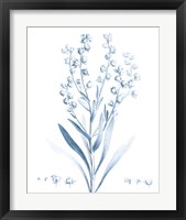 Framed 'Antique Botanical in Blue I' border=