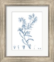 Framed Antique Botanical in Blue II