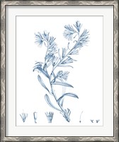 Framed Antique Botanical in Blue II