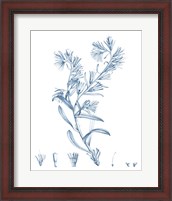 Framed Antique Botanical in Blue II