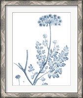 Framed 'Antique Botanical in Blue V' border=
