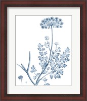 Framed Antique Botanical in Blue V
