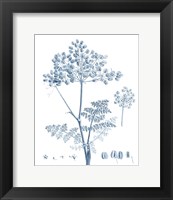 Framed Antique Botanical in Blue VI