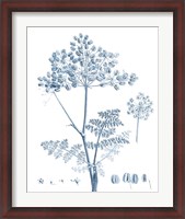 Framed Antique Botanical in Blue VI