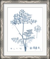 Framed 'Antique Botanical in Blue VI' border=