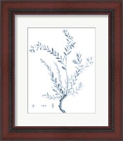 Framed Antique Botanical in Blue VII