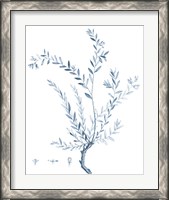 Framed 'Antique Botanical in Blue VII' border=