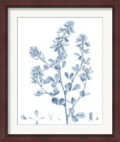 Framed Antique Botanical in Blue VIII