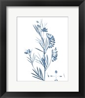 Framed Antique Botanical in Blue IX