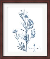 Framed Antique Botanical in Blue IX