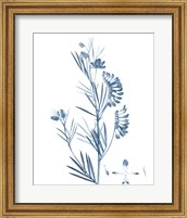 Framed Antique Botanical in Blue IX