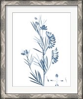 Framed 'Antique Botanical in Blue IX' border=