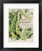 Framed Antique Seed Packets V