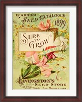 Framed Antique Seed Packets VIII
