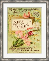 Framed Antique Seed Packets VIII