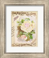 Framed Antique Seed Packets IX
