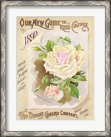 Framed Antique Seed Packets IX