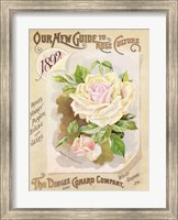 Framed Antique Seed Packets IX