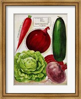 Framed Antique Seed Packets XI