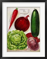 Framed Antique Seed Packets XI