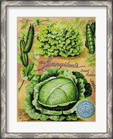 Framed Antique Seed Packets XII