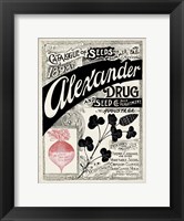 Framed Antique Seed Packets XIV