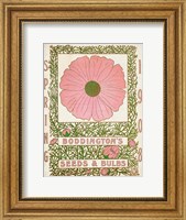 Framed Antique Seed Packets XV