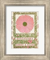 Framed Antique Seed Packets XV