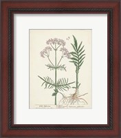 Framed 'Antique Herbs I' border=