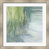 Framed Sweetgrass