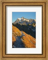 Framed Mount Shuksan North Cascades