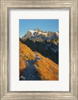 Framed Mount Shuksan North Cascades