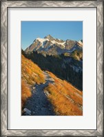 Framed Mount Shuksan North Cascades