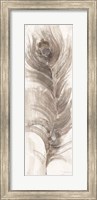 Framed Neutral Eyed Feathers II