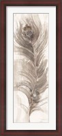 Framed Neutral Eyed Feathers II