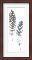 Framed Feather Sketches VIII Blue Gray