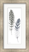 Framed Feather Sketches VIII Blue Gray