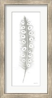 Framed Feather Sketches VII Green Gray