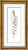 Framed Feather Sketches VII Green Gray