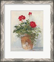 Framed Potted Geraniums II Light