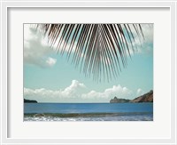 Framed Palm Seashore