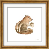 Framed Woodland Whimsy Squirrel