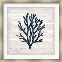Framed Driftwood Coast VII Blue