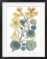 Framed Antique Botanical XVII Cool