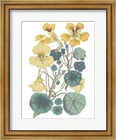 Framed Antique Botanical XVII Cool
